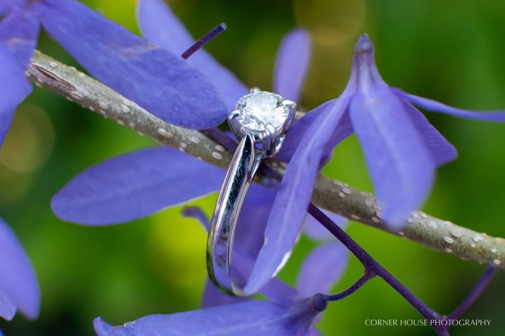 Winter Springs Engagement